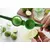 BarUp Citruspers geel (voor citroenen), 223x75x(H)45mm - 592052